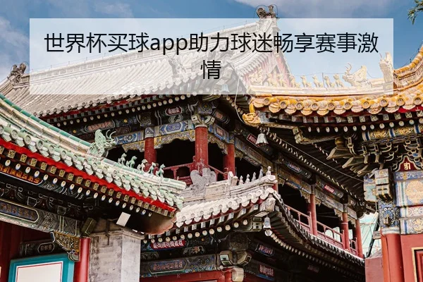 世界杯买球app助力球迷畅享赛事激情