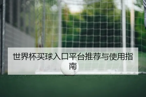 世界杯买球入口平台推荐与使用指南