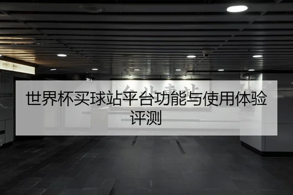 世界杯买球站平台功能与使用体验评测